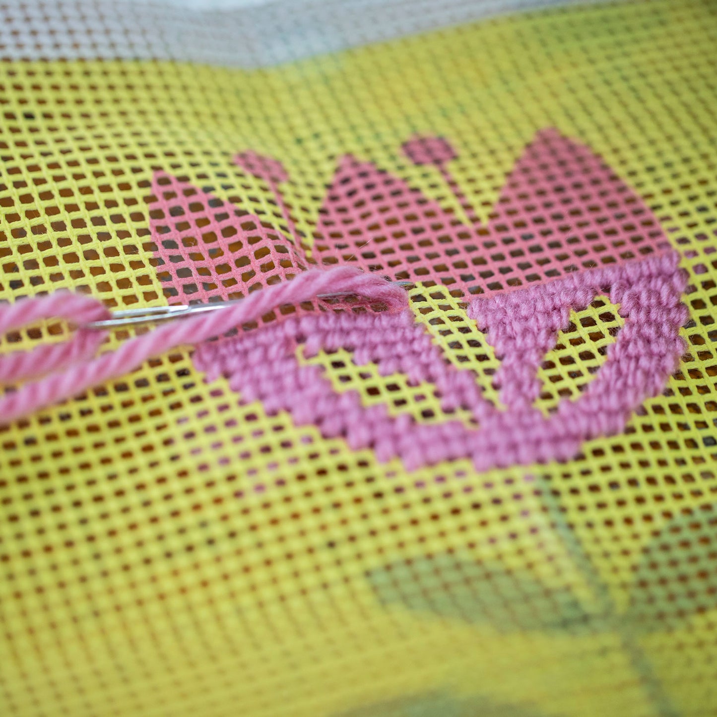 Kit de bordado Infantil sobre cañamazo | Tulipa