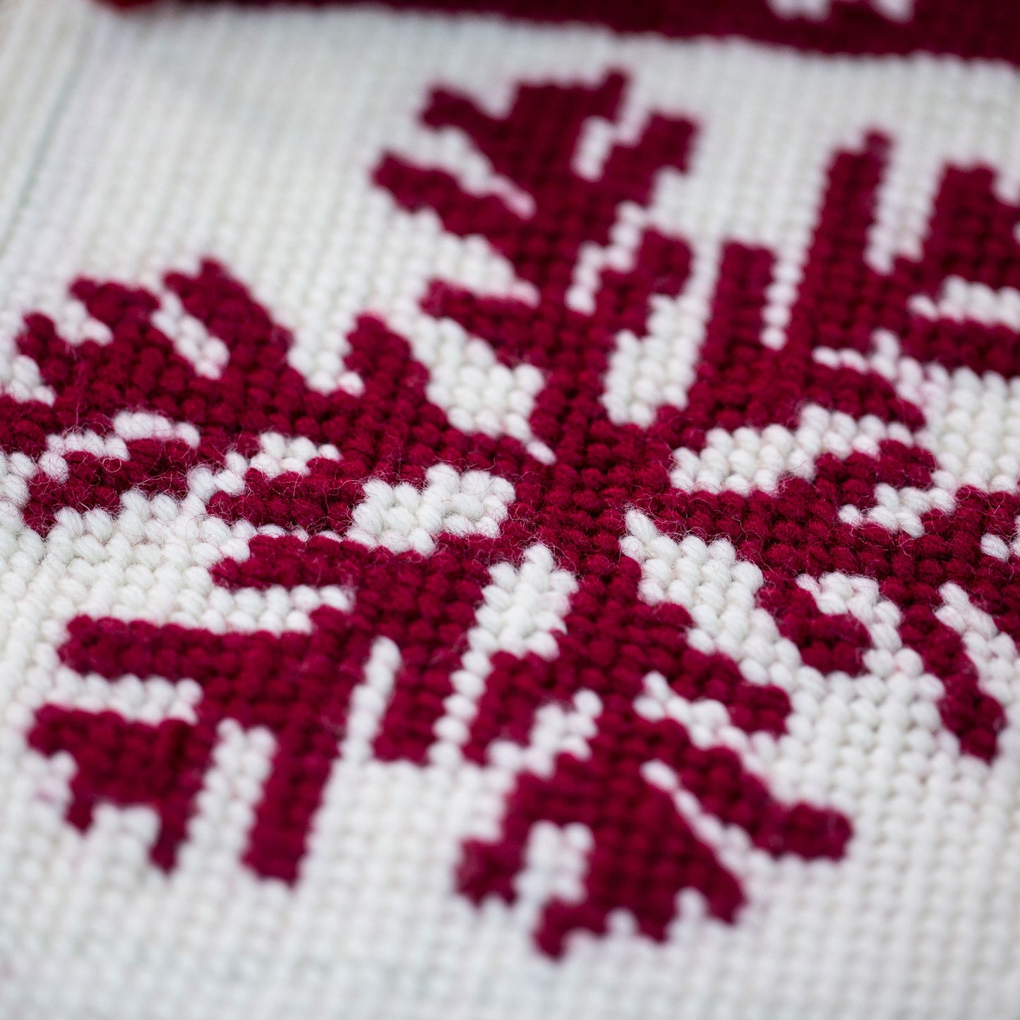 Kit de bordado sobre cañamazo | Xmas